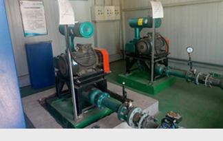 安徽國禎環(huán)保節(jié)能集團三葉羅茨風機使用現場